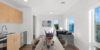 Harbor Flats Gallery 26