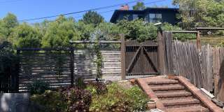 75 Parnassus Road Gallery 11