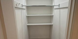 New King Edward Gallery 376