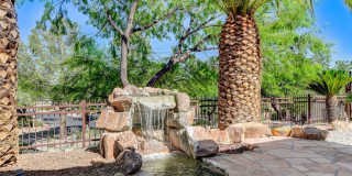 536 Pima Canyon Court Gallery 3