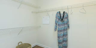 Whisper Creek Gallery 36