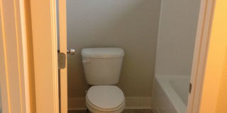 Wildwood 2 Gallery 19