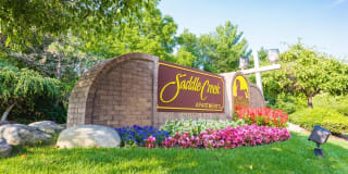 Saddle Creek Apartments Gallery 4