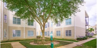 Catalina Village Apartment Homes Gallery 2