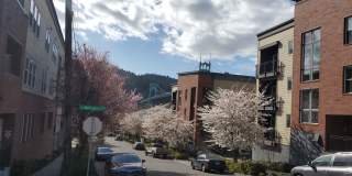 Cathedral Park Apartments Gallery 39