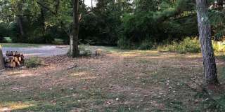 Newly renovated 4BR/2BA home, across from IU Stadium and Golf Course! Gallery 6