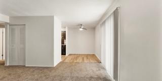 Bradford Lake Gallery 3