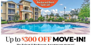 Fountains at San Remo Court Gallery 1