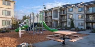 Millcreek Meadows Gallery 2