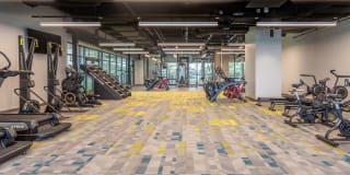 The Village Drey Gallery 65