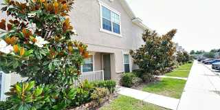 27507 DESERT WILLOW WAY Gallery 3