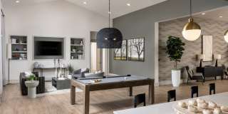 The Carmina Gallery 4