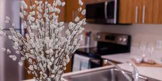 The Savoy at Lake City - 55+ Senior Living Community Gallery 2