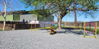 Ivy Plains at Brooks Ivy Plains at Brooks Gallery 4