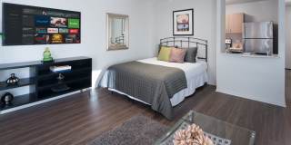 1132 N Dearborn St Gallery 3