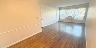OCEAN VIEW Gallery 6
