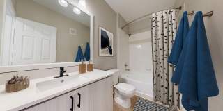 Bristol Village Apartments Gallery 10