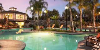 The Palms Gallery 1
