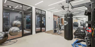 The Sevens Gallery 16