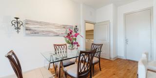 Domain at Kirby Gallery 3