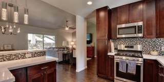 5320 Presidio Rd, Austin, Texas 78745 Gallery 15