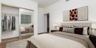 Vineyards Gallery 198