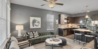 Wiregrass at Stone Oak Gallery 7