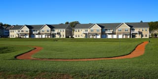 The Springs Gallery 23