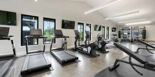 Ltd. Findlay Gallery 19