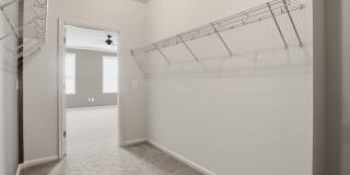 24636 WOOLLY MAMMOTH Terrace Gallery 28