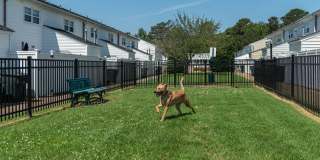 Walkers Chase Townhomes Gallery 29