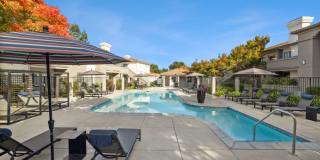 Terra at Portola Park Gallery 19