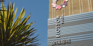 Blossom Plaza Gallery 23