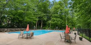 The Forest Apartments Gallery 29