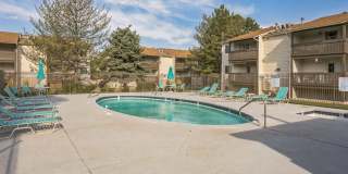 Springwood Gallery 14