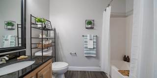 Wellington Place Gallery 16