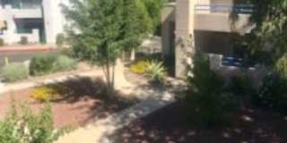 7928 East Colette Circle 7928 East Colette Circle Gallery 1