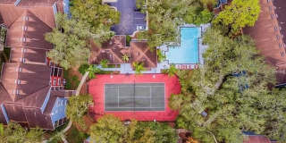 8746 Key Biscayne Dr Apt 204 Gallery 20