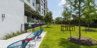 Encore Montrose Gallery 10