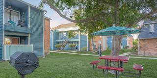 The Solana Vista Gallery 33