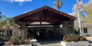 The Palms The Palms Gallery 19