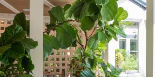 The Lockwood Gallery 8