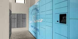 Las Palmas Gallery 11