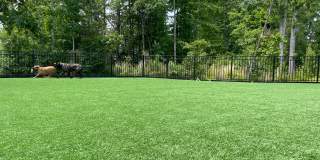 Wren | 3 Bed 2.5 Bath | Garage | 1729 sf | $2831 - $3114 | 8, 9, 10, 12, 14, and 15 month lease terms Gallery 59