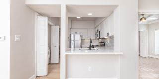 Las Palmas Gallery 22