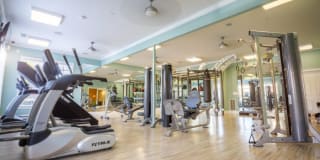 The Asher at Sugarloaf Gallery 21