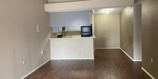 Camino Woods Gallery 6