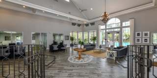 Paradise Island Gallery 29