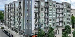 Elan Redmond Elan Redmond Gallery 1