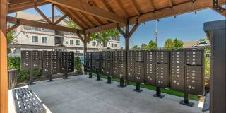 Forestplace Apartment Homes Gallery 17